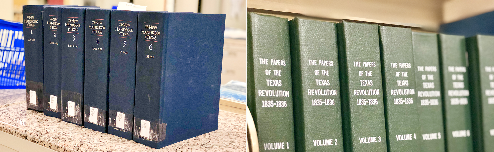 Local History resource books