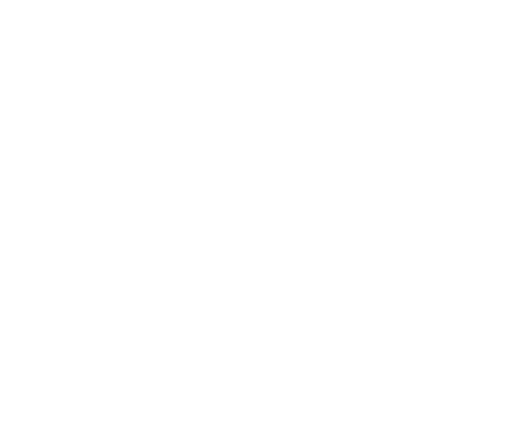 Teacher in the Library