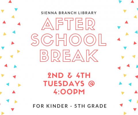 After School Break Flyer