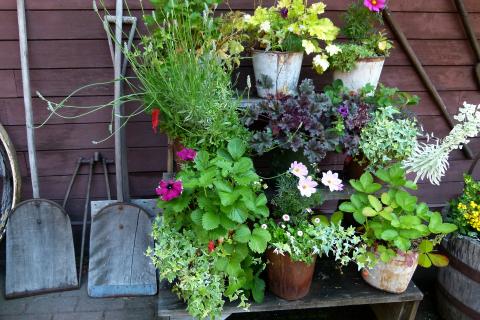 backyard gardening equipment
