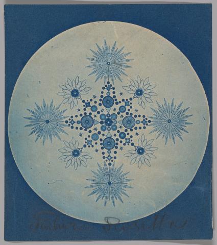 cyanotype image 