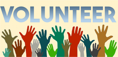 volunteer