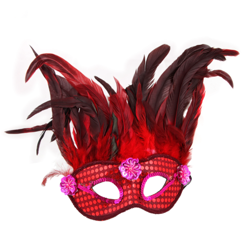 red Ventian mask with red and black feathers 