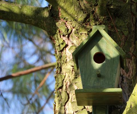 Bird House