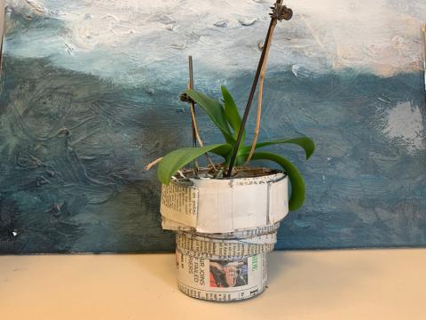 plant pot made of newspaper with orchid plant in it