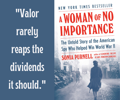 Quote on left side of image: "Valor rarely reaps the dividends it should.".  Right side of image is the book cover.
