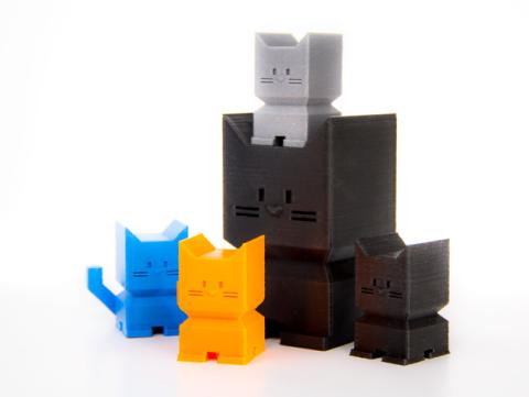 image of calibration cat