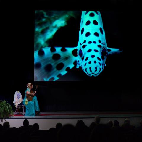 Susan McDonald performing