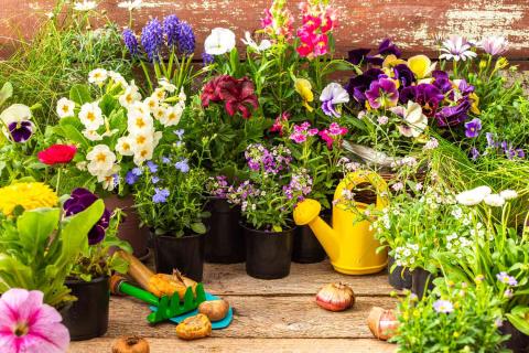 various fall and winter flowers in pots on a wooden porch 
