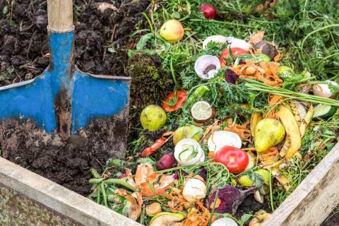 image of a shovel in a compost bin next to some fresh vegetables 