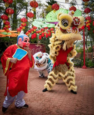 Lion dance performers