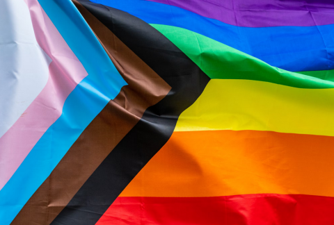 photo of the progress pride flag