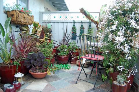 Potted Garden