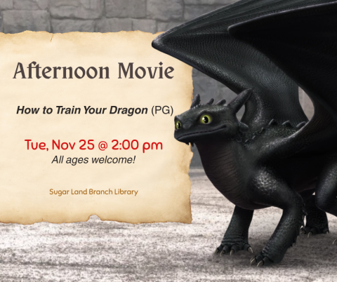 How to Train Your Dragon
