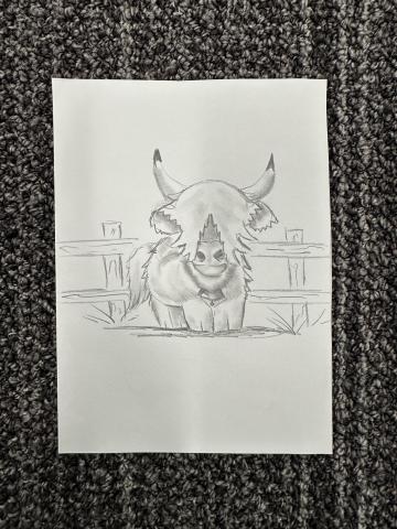 Highland Cows