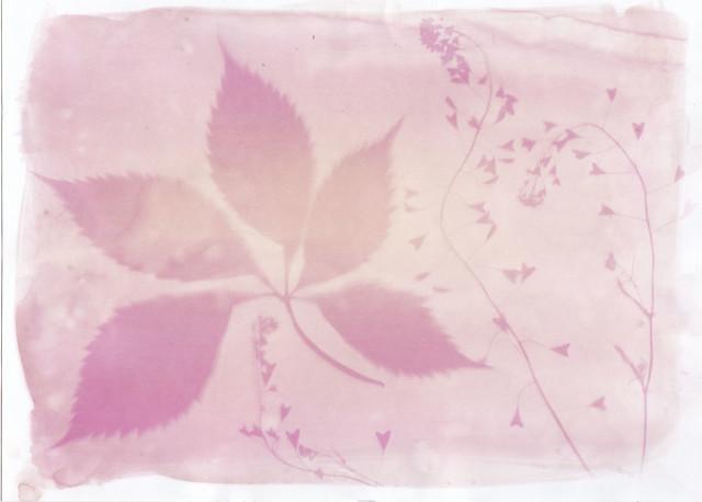 Source: https://www.flickr.com/photos/116228447@N06/18010653172