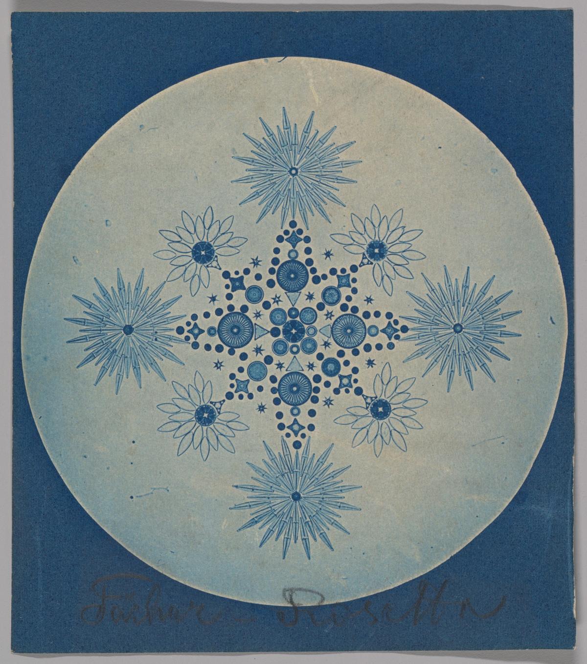 cyanotype image 