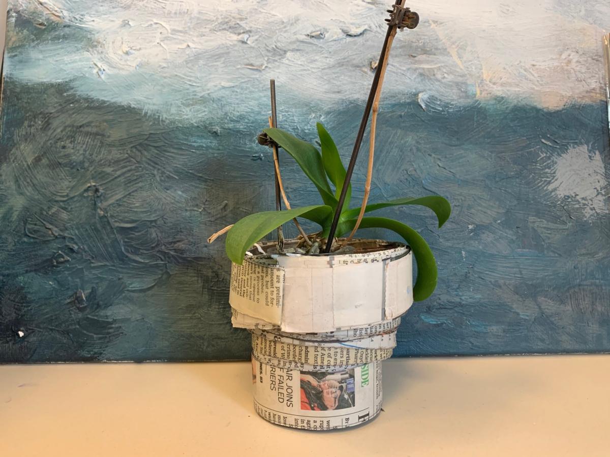 plant pot made of newspaper with orchid plant in it