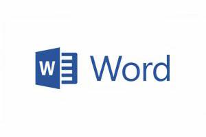 MS Word