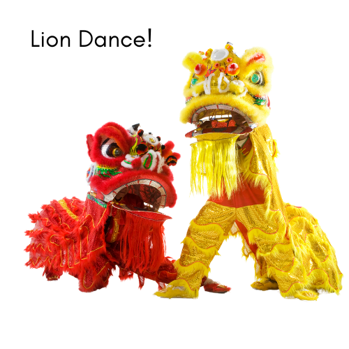 Lion dance performers