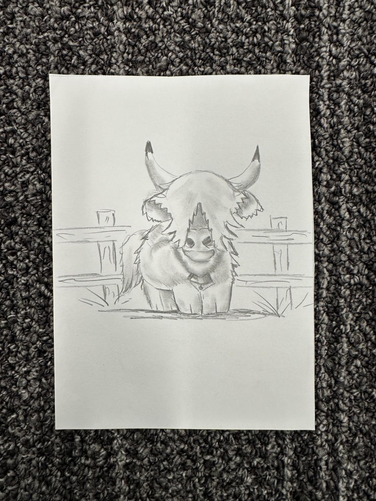 Highland Cows