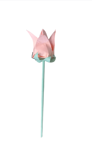Paper Tulip