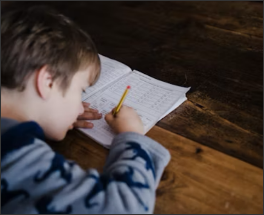 Homework Help linked image showing a young boy with a pencil doing homework at a table