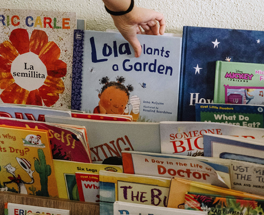 Person picking a children's book from a display