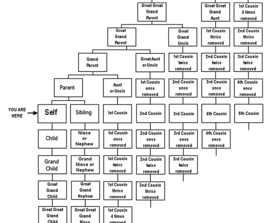 Family Relation Chart thumbnail