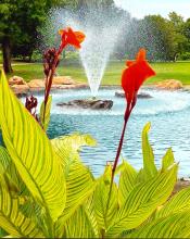 People's Choice - 2nd place - Christy Hawthorne for "The Dionne Kisses" People's Choice - 2nd place - Christy Hawthorne for "The Dionne Kisses"