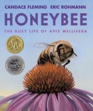 book cover: Honeybee The Busy Life of Apis Mellifera